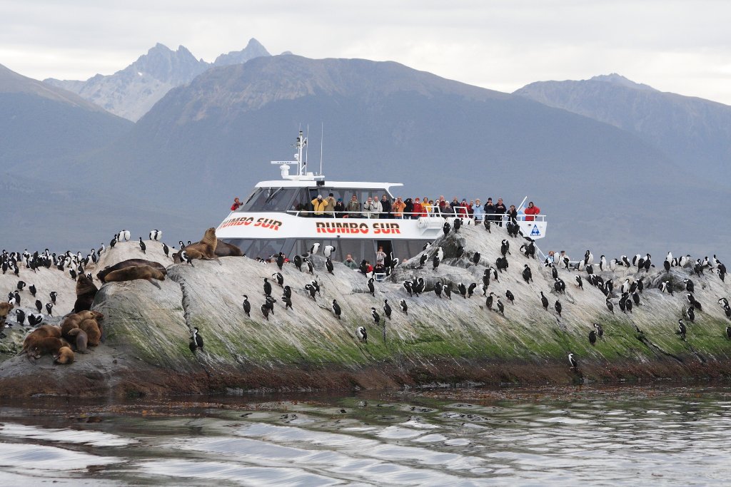 22-Seals, cormorants and tourists.jpg - Seals, cormorants and tourists
